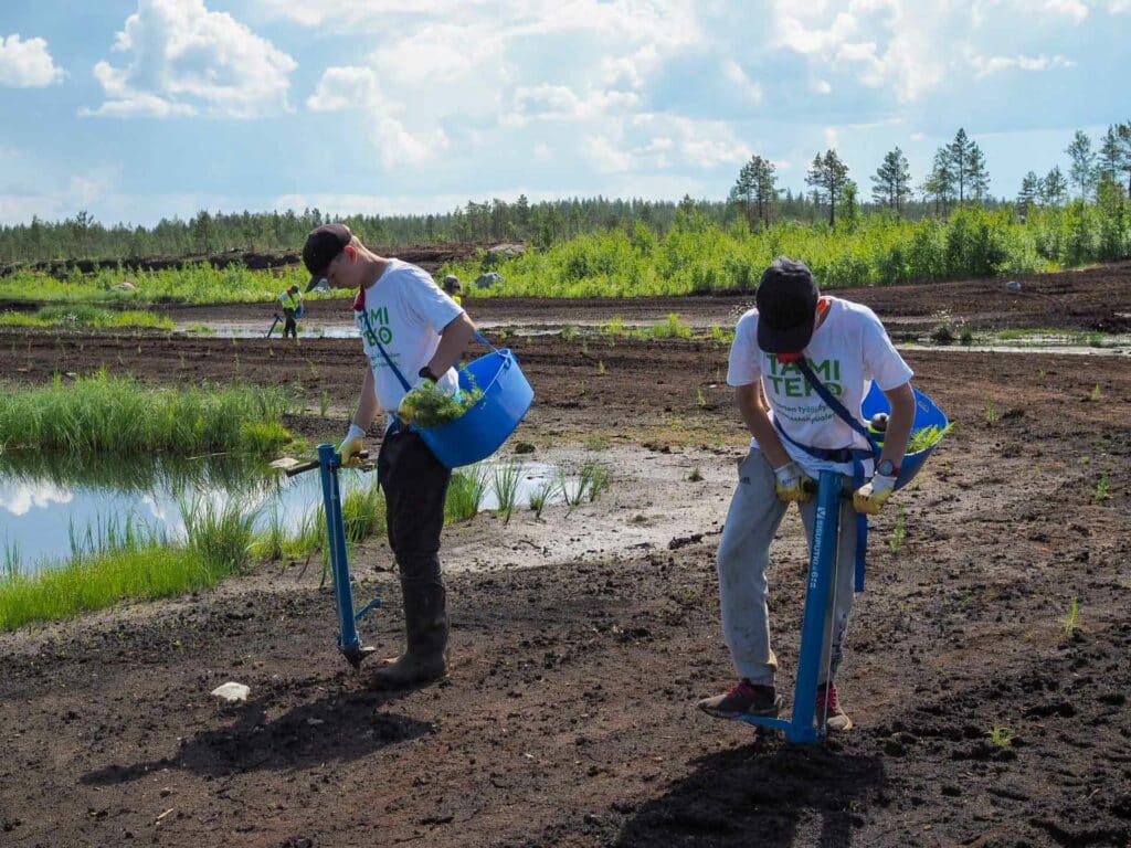 Virtain 4H-nuoret istuttavat EWQ-metsään puuntaimia Taimiteko-hankkeessa.