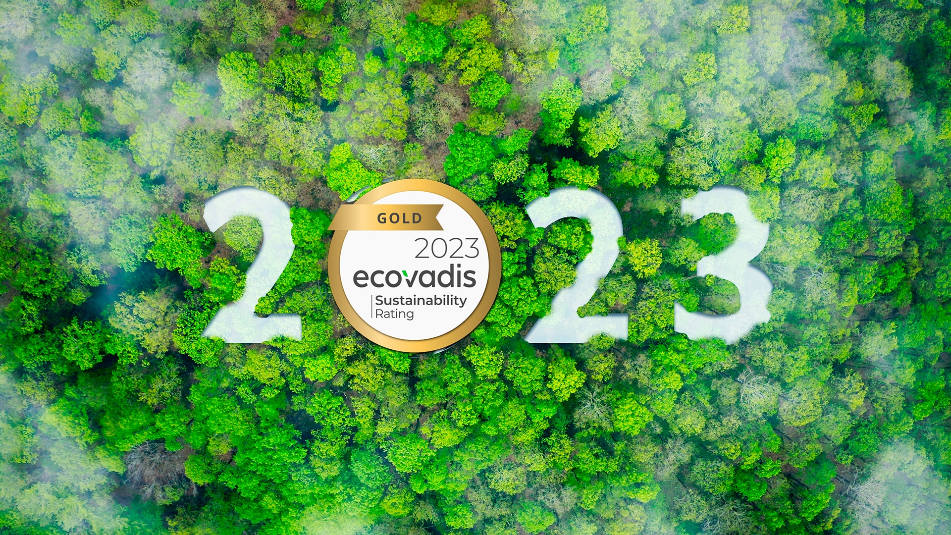 EWQ:n vastuullisuustyöllä on Ecovadis Gold-luokitus